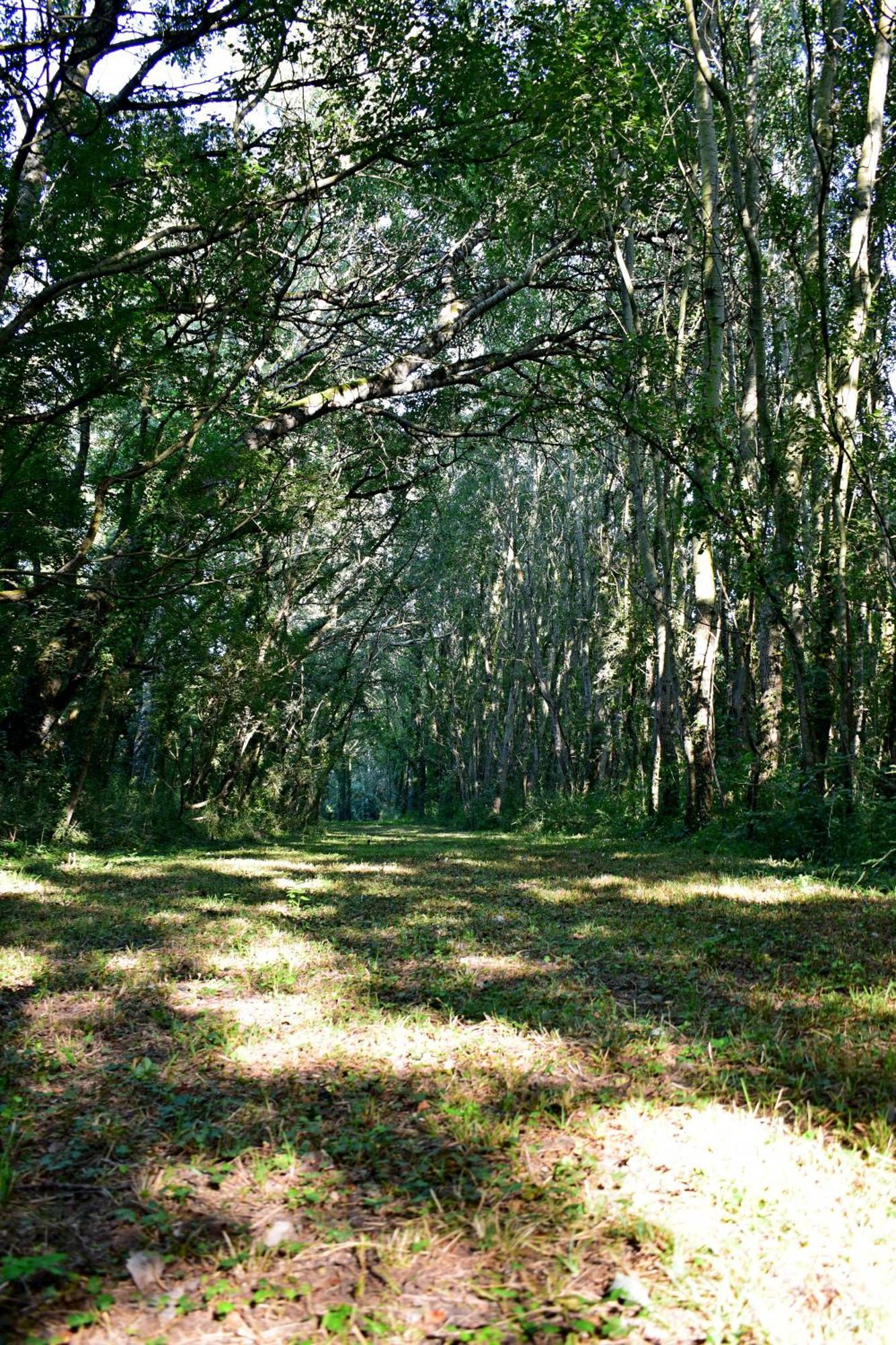 L'Oree Du Bois Gaubau Saint-Georges-sur-Layon ภายนอก รูปภาพ